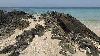 Wong Amat, чебурашки и сарганьи атаки на легкий рокфишинг