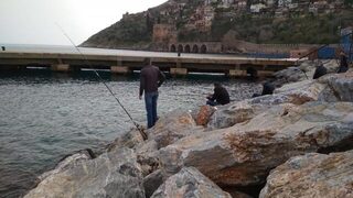 Анталия у пирса с конусной ракушкой и рыбой в полоску