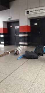 Тубусы со спиннингами на негабаритной выдаче в Шереметьево