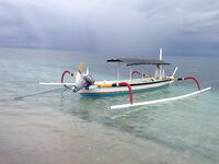 Небольшой отчёт по рыбалка на Бали с берега