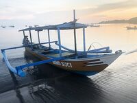 Ловля в Семиньяк - махи-махи и четыре тунца сошли (декабрьский выход без фейерверков)