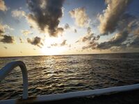 Надо было в Амед ехать на пять дней