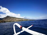 Надо было в Амед ехать на пять дней