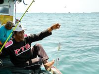 На рейде Джимбарана - ставрида и будни команды