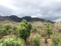 Полтора часа разницы погода как другая (АМЕД)