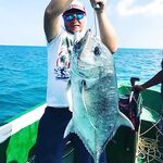 Мальдивские острова - ловля GT и десятки других рыб