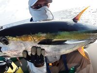 Мальдивы: отчёт и даты