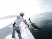 Рыбалка в ОАЭ - залив и океан, точки, методы, бюджет