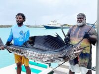 Рыбалка на Мальдивах: программа, проживание, лодки