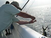 Фуджейра - декабрь 2011 - фотоподборка с древней рыбалки