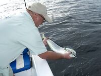 Фуджейра - декабрь 2011 - фотоподборка с древней рыбалки