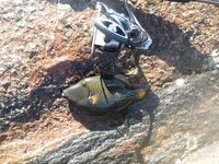 Унаватуна: береговой спиннинг до 2 января, ищу компанию и обмен опытом