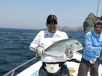 Рыбалка 29 марта - Муссанддам, коранксы, парусники, сходы и выводы