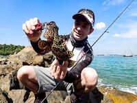 Унаватуна и Jungle Beach: рокфишинг со скал - воблеры и пилькеры