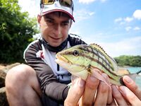 Унаватуна и Jungle Beach: рокфишинг со скал - воблеры и пилькеры