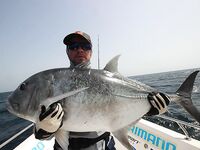 Муссанддам - закрытие сезона - кастинг, слайдер в приоритете