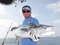 Аджман - январь - троллинг по кингфишу