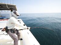 Халаният - октябрь - кастинг, джиг, парус, амберджек, bluefish