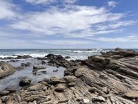 Тангалле, Шри-Ланка: рокфиш с камней, пилькеры 20 г