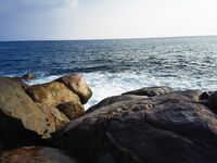 Джангл Бич: ничего не поймал и это к лучшему, волна злится