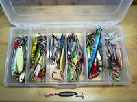 Шри-Ланка, «океанская коробка»: рабочие пилькеры и подход