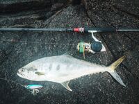 Катушки для моря: KastKing Kodiak 5000 как запас