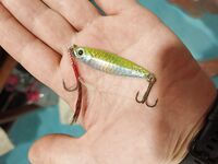 Алутгама - Берувела: лагуна и отлив, первый опыт на донку