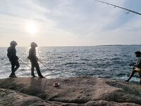 Jungle Beach, крючки кривая сталь: сливы трофеев