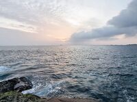 Jungle Beach, крючки кривая сталь: сливы трофеев