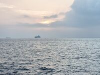 Jungle Beach, крючки кривая сталь: сливы трофеев