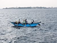 Jungle Beach, крючки кривая сталь: сливы трофеев