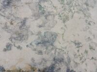 Хиккадува: осторожно, рыба-камень и крокодилы