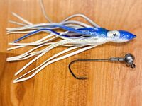 Шри-Ланка - рыбалка на троллинг с местными