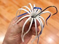 Шри-Ланка - рыбалка на троллинг с местными