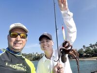 Унаватуна, Черепаший пляж: МДЖ с мола и первый осьминог