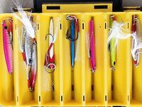 Шри-Ланка, сборы: три тревела под берег, поппинг и джиг