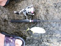 Маревилла - Алутгама: ультралайт в лагунах, риф и рыночек