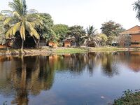 Маревилла - Алутгама: ультралайт в лагунах, риф и рыночек