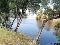 Маревилла - Алутгама: ультралайт в лагунах, риф и рыночек