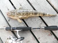 Ко Чанг, вечерние выходы: попперы, тонущие воблеры и кейтек