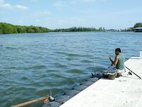 Порт Краби: донка на реке и обещанные местными 'черные камни'