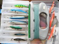 Пи-Пи Дон, Краби: береговая ловля и троллинг лонгтейлом по кругу