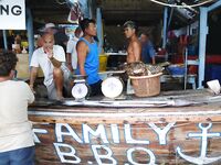 Морская рыбалка на Ко Липе: дрейф c живцом и троллинг Cabo Prowler