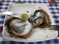 Ко Липе и Аданг: морская рыбалка, живец молчит, королевская макрель мимо