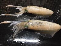 Раваи, ночная ловля с пирса: местных полно, снасти простые и рабочие