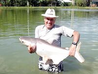 Пхукет, Chalong Fishing Park: донка на меконга и карпа, снасти и прикорм