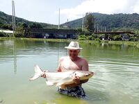 Пхукет, Chalong Fishing Park: донка на меконга и карпа, снасти и прикорм