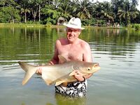 Пхукет, Chalong Fishing Park: донка на меконга и карпа, снасти и прикорм