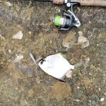 Пхи Пхи Дон, Лонг Бич: морская рыбалка с берега и джиг по кораллам