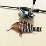 Пхи Пхи Дон, Лонг Бич: морская рыбалка с берега и джиг по кораллам